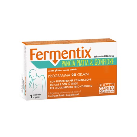 FERMENTIX PANCIA PIA/GONF20CPR
