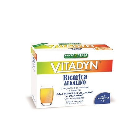 VITADYN RICARICA ALKALIN14BUST