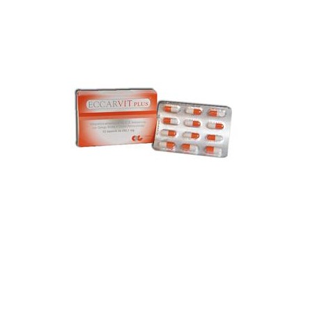 ECCARVIT PLUS 12CPS