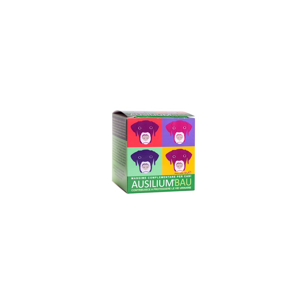 AUSILIUM BAU 100G