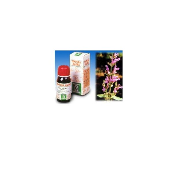 SALVIA 25 50ML TM
