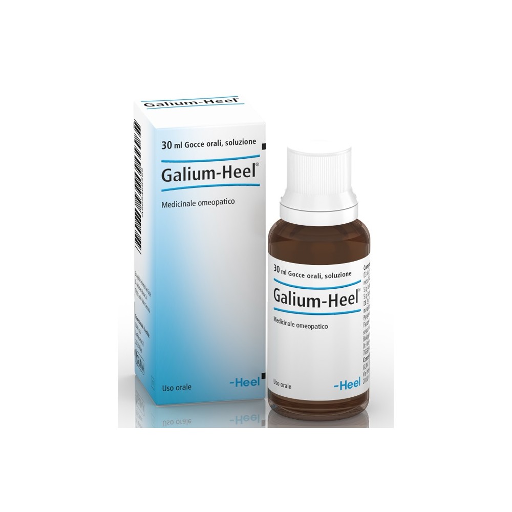 GALIUM 30ML GTT HEEL