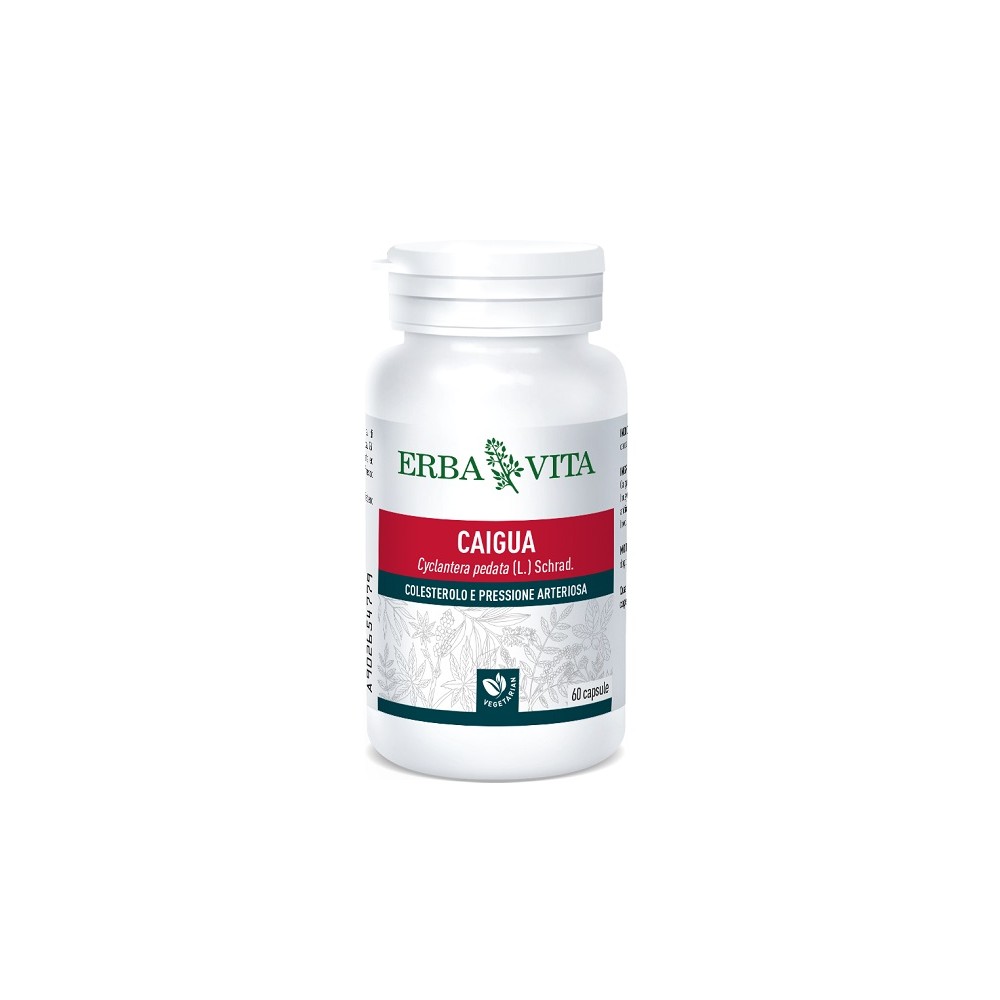CAIGUA 60CPS 400MG