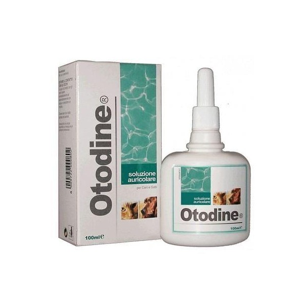 OTODINE DET LIQ 100ML