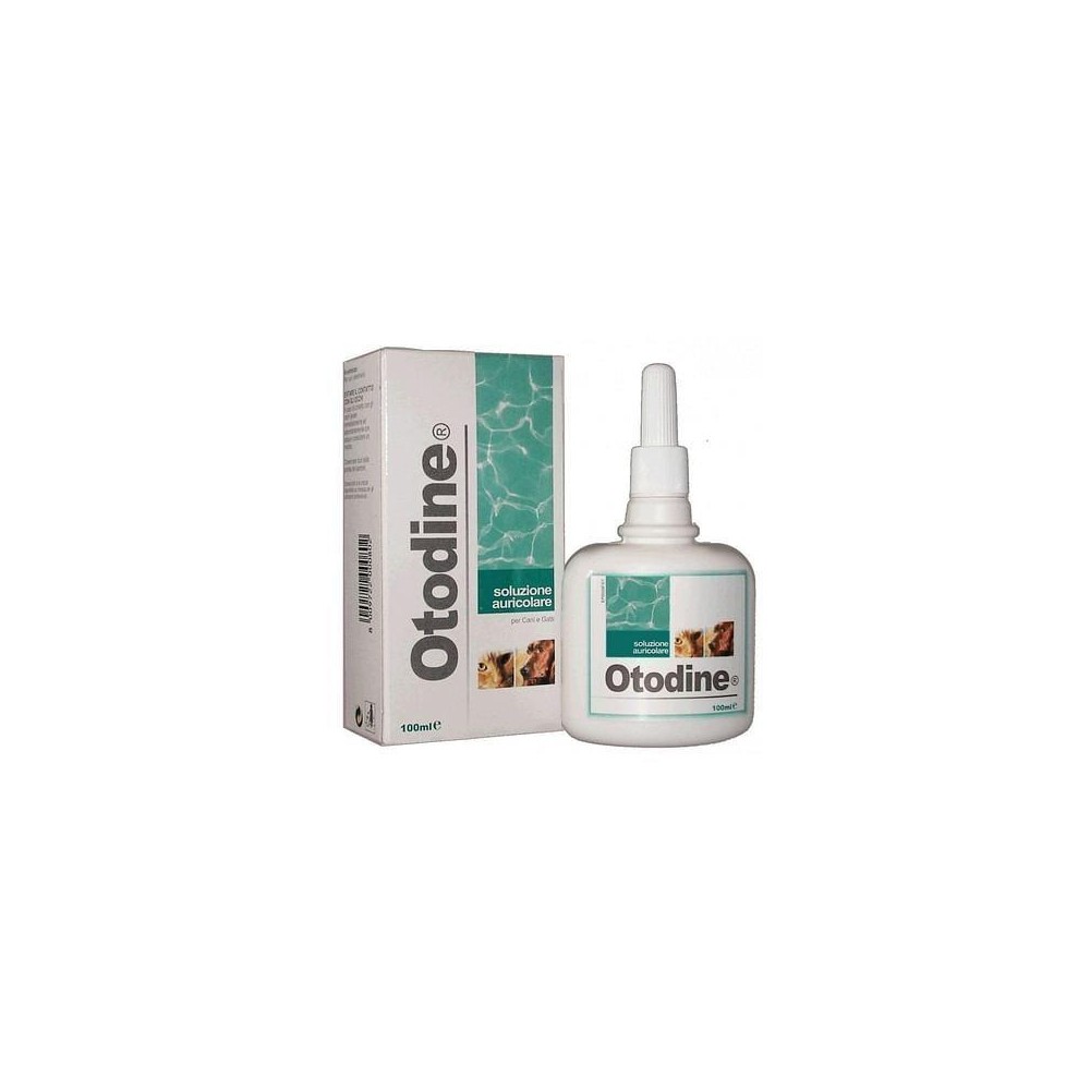 OTODINE DET LIQ 100ML