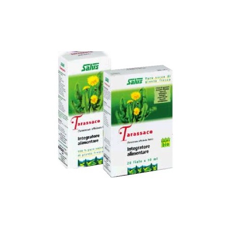 TARASSACO SUCCO 200ML BIO