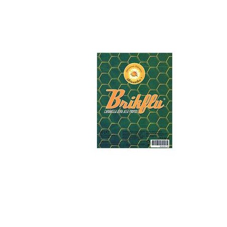 BRIKFLU CARAM PROPOLI 90G
