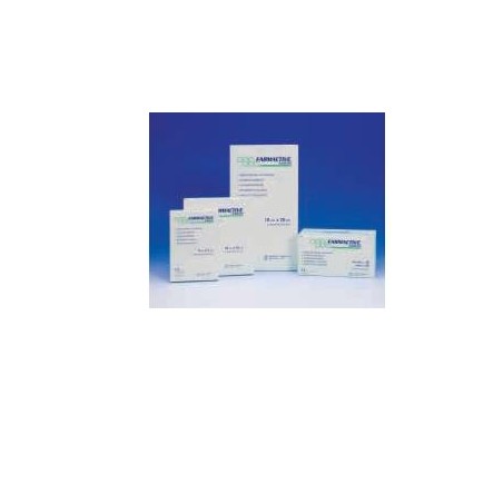 FARMACTIVE ALGINATO 10X10 10PZ