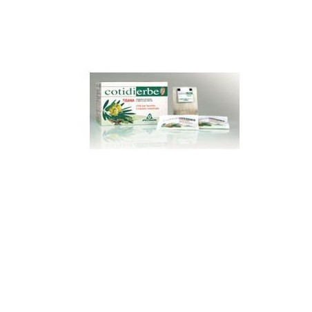 COTIDIERBE TISANA 15BUST 27G