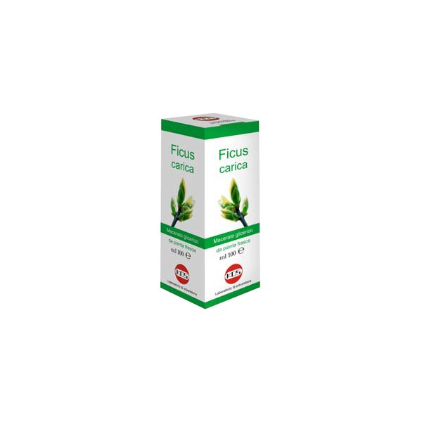 FICUS CARICA MG 100ML GTT