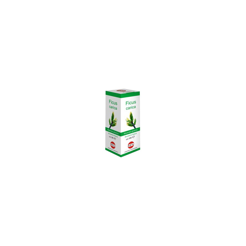 FICUS CARICA MG 100ML GTT