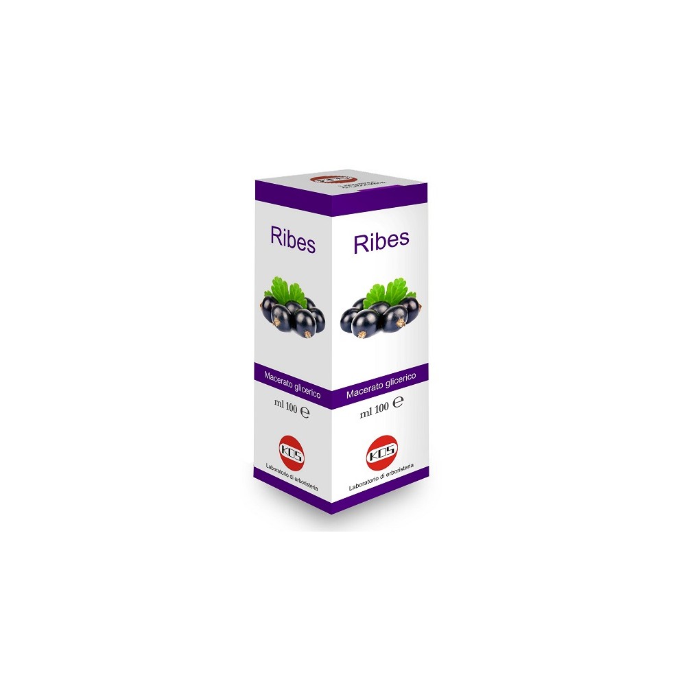 RIBES NIGRUM MG 100ML GTT