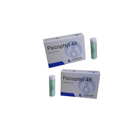 PSICOPHYT REMEDY 4B 4TUB 1,2G