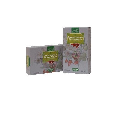 BIANCOSPINO/OLIVO/AGL20AMPOLLE