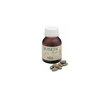 QUISETIL CALCIOFIX 60CPR
