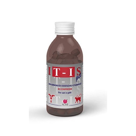 IT-IS 80CPR
