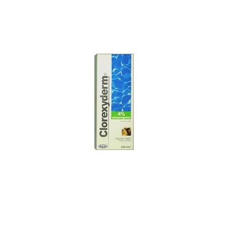 CLOREXYDERM SH 4% 250ML