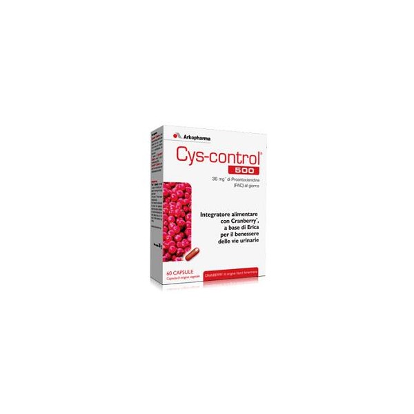 CYS CONTROL 60CPS