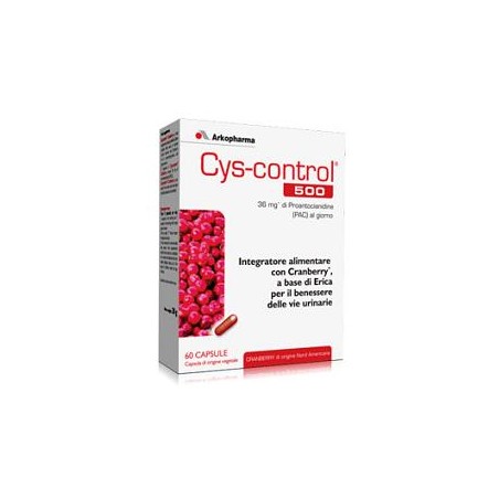 CYS CONTROL 60CPS