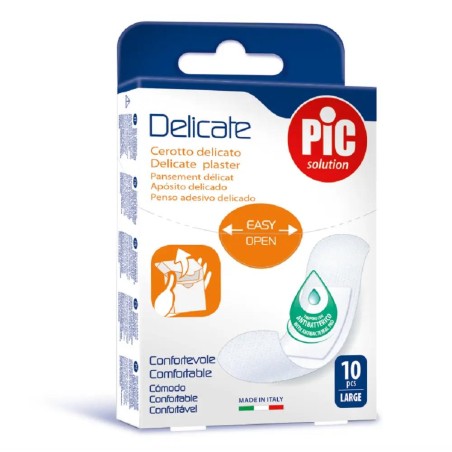 CER PIC DELICATE 25x72 10PZ