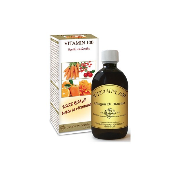VITAMIN 100 LIQUIDO ANALC500ML