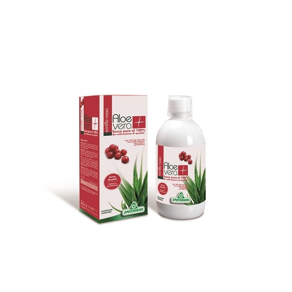 SUCCO ALOEVERA+ ALOE/MIRT R1LT