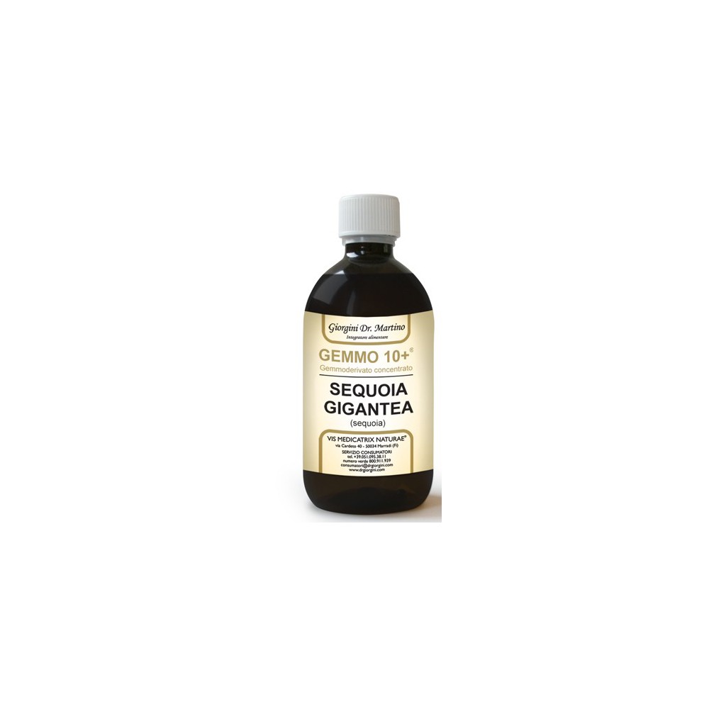SEQUOIA 500ML ANALCO GEMMO 10+
