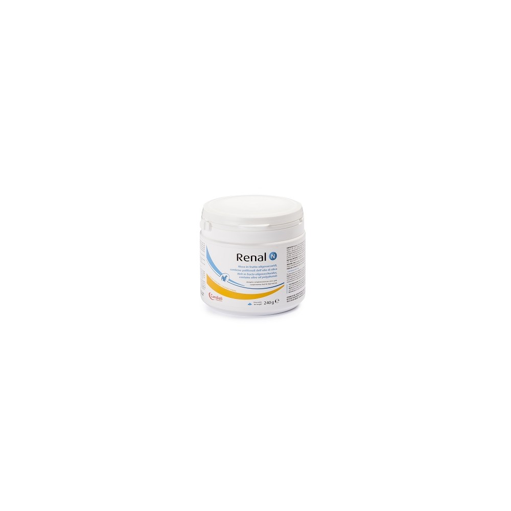 RENAL N 240G