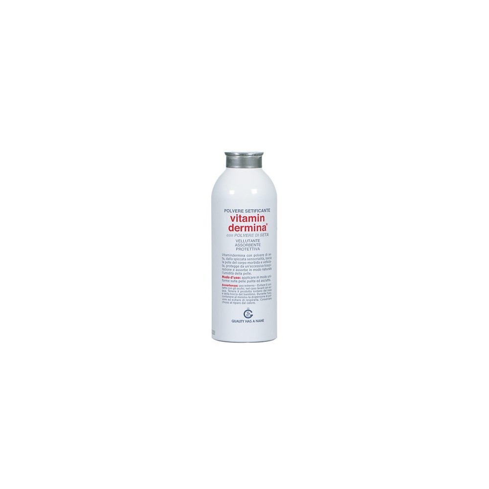 VITAMINDERMINA POLV SETA 100G