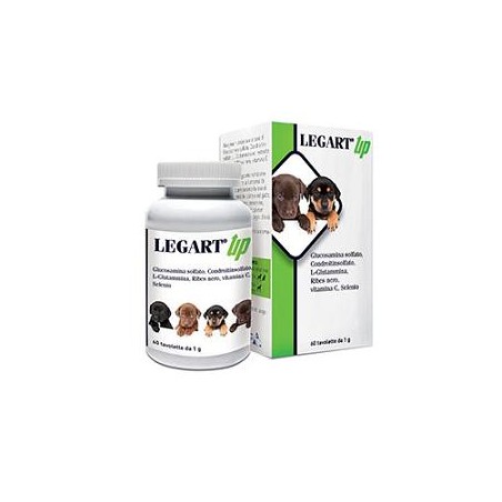 LEGART UP 30CPR