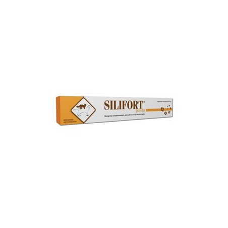 SILIFORT PASTA OS SIRINGA 30G