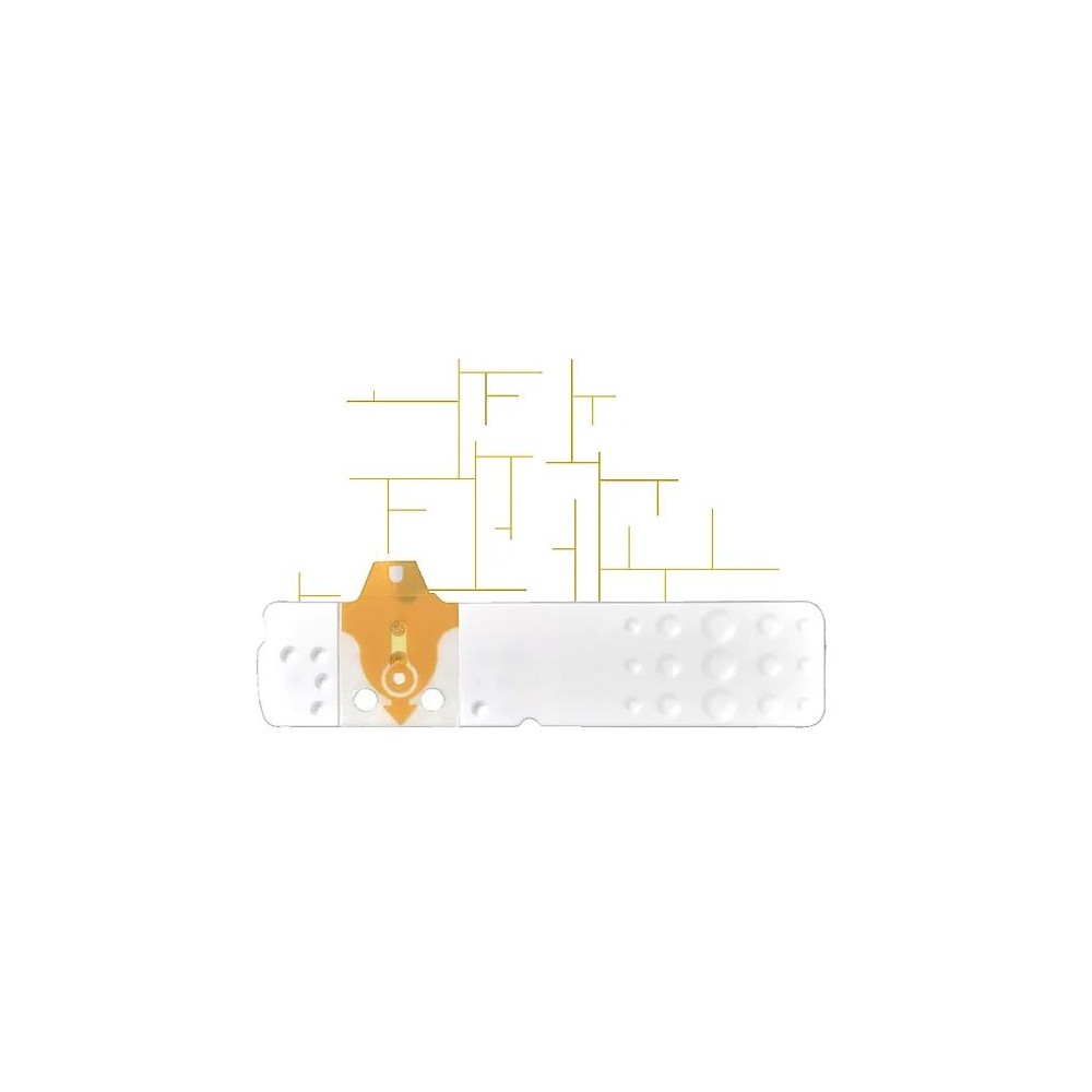 LINEA D ORO 25STR GLICEMIA