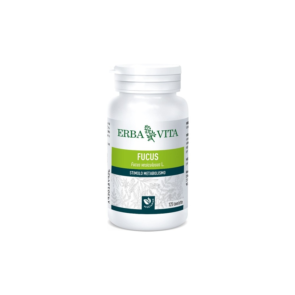 FUCUS 125TAV