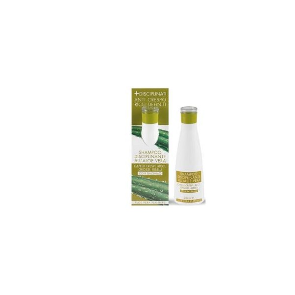 PLANTER'S ALOE SH DISCIPLINANT