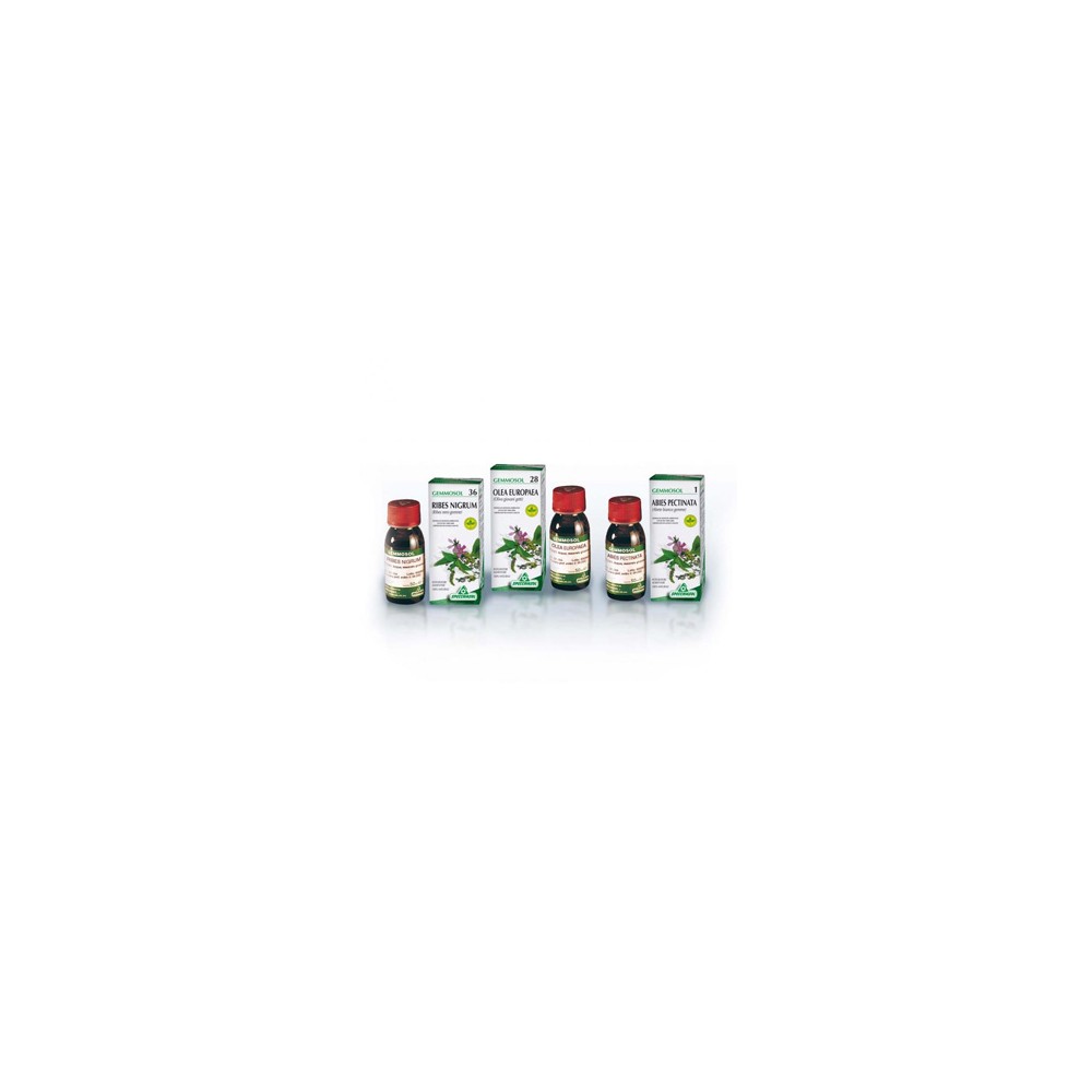 GEMMOSOL 46 TIGLIO ARGEN 50ML
