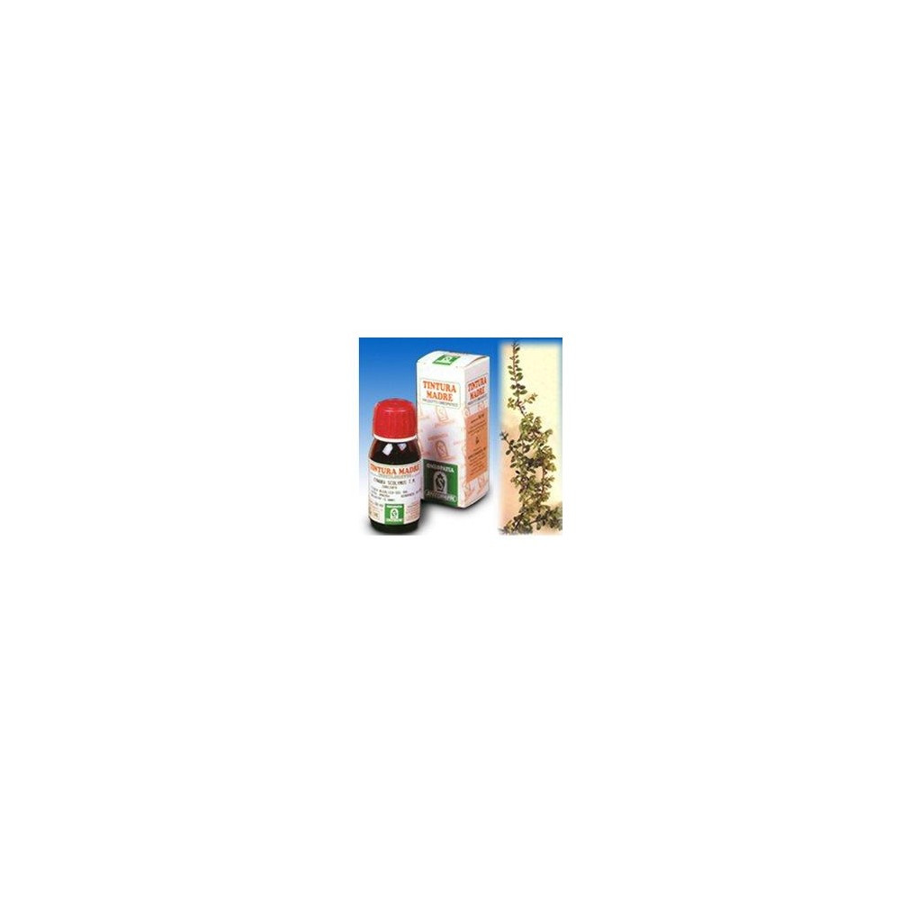 UVA URSINA 30 50ML TM