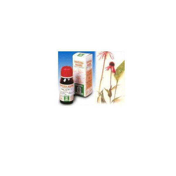 ECHINACEA 59 50ML TM
