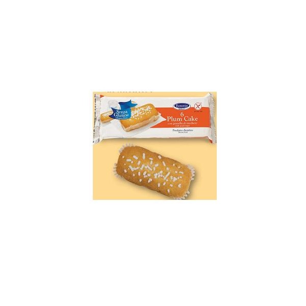 BONONIA PLUMCAKE GRANE ZUC S/G