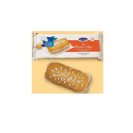 BONONIA PLUMCAKE GRANE ZUC S/G