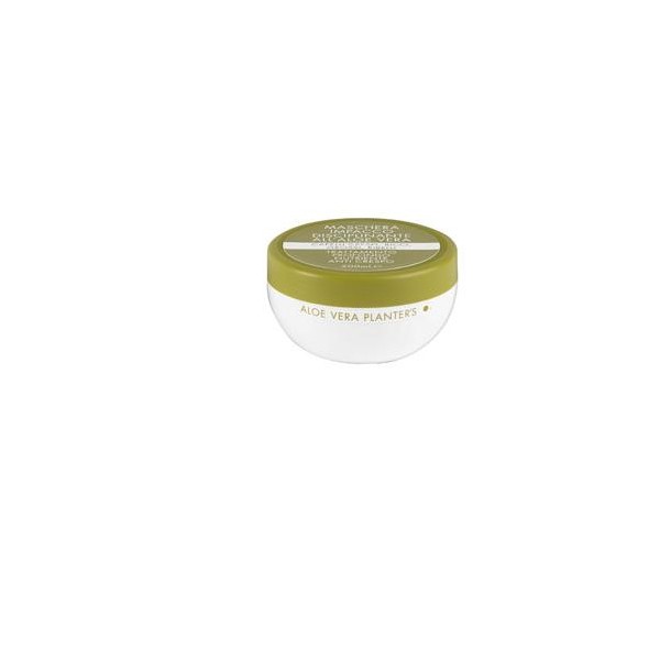 PLANTER'S ALOE MASCH DISCIPLIN