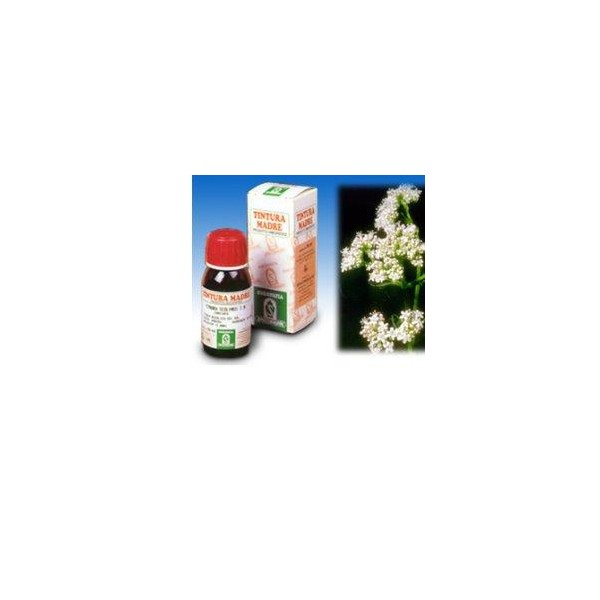 VALERIANA 36 TM 50ML