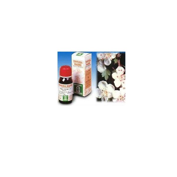 BIANCOSPINO 10 50ML TM