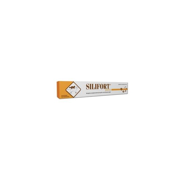 SILIFORT PASTA OS SIRINGA 15G