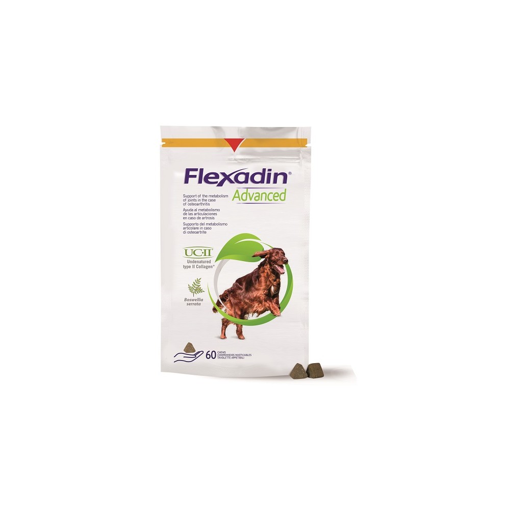 FLEXADIN ADVANCED CANE 60TAV