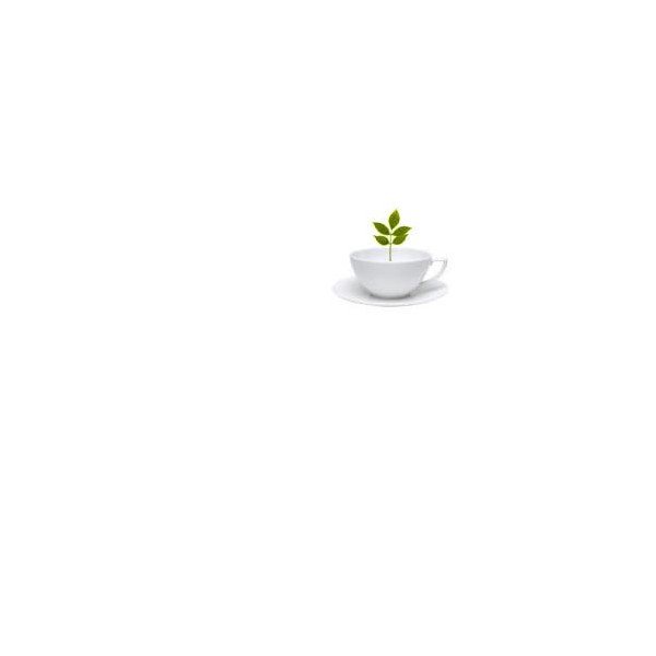 TISACELL MISC ERBE 100G TT