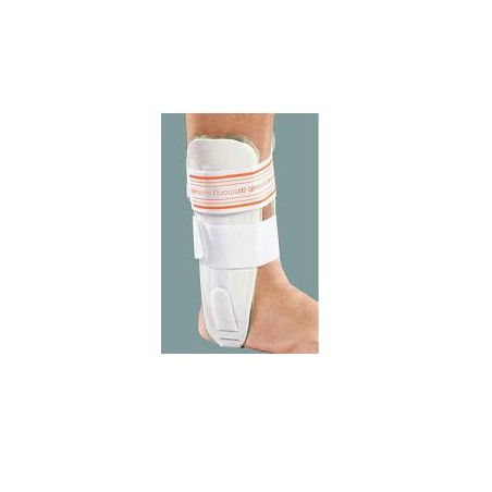 AIRSTRONG TUT BIVALVA ARIA GON