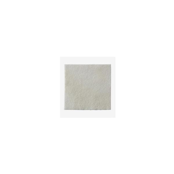 BIATAIN ALGINATE 15X15CM 10PZ