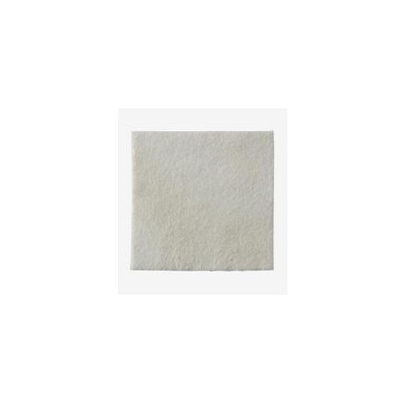 BIATAIN ALGINATE 15X15CM 10PZ