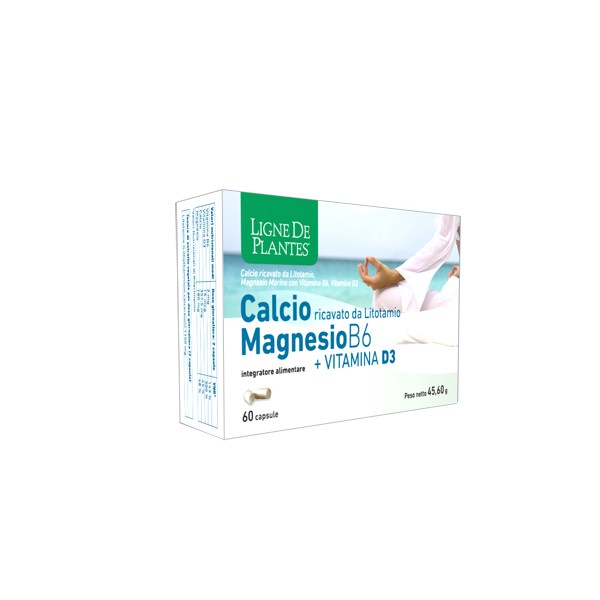CALCIO+MAGNESIO B6+VITD3 60CPS
