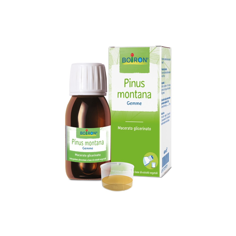 PINUS MONTANA BOI MG 60ML INT